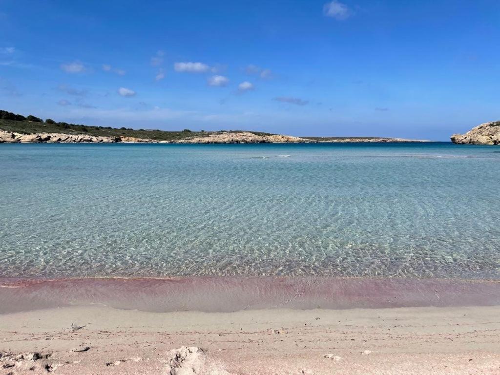 Apartamento Brisa De Menorca سون بارك المظهر الخارجي الصورة